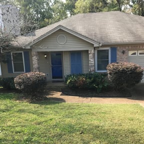 Bush Trimming by Yard pro reviewed on August 23, 2024