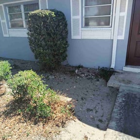 Bush Trimming by Gomez Property Maintenance reviewed on June 22, 2021
