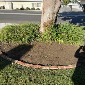 Flower Bed Weeding by T's Mow Blow &amp; Go reviewed on April 15, 2025