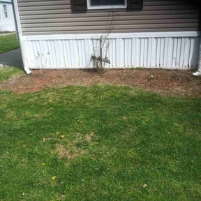 Flower Bed Weeding by Towery's Lawn Care reviewed on August 8, 2022