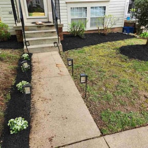 Landscaping by Discount Mowing reviewed on June 7, 2022