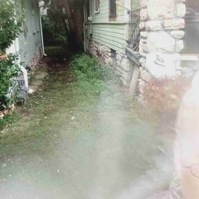 Bush Trimming by Soundview Lawn Care reviewed on June 21, 2022