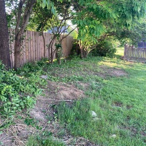 Bush Trimming by LA Grounds LLC reviewed on November 17, 2022