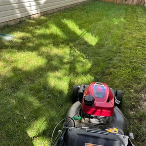 Flower Bed Weeding by Sgp Lawn services reviewed on July 14, 2022