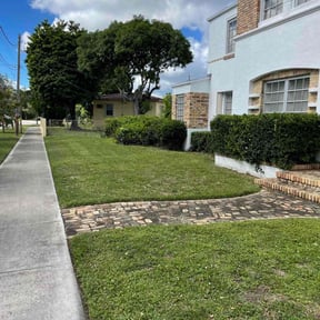 Bush Trimming by Same Day Lawn Care LLC reviewed on April 14, 2025