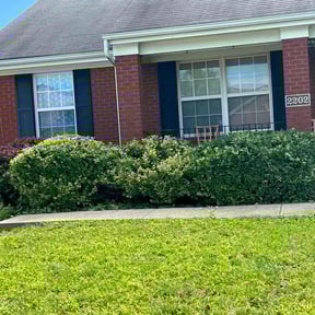 Bush Trimming by XL lawn mowing reviewed on May 4, 2022