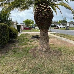 Bush Trimming by HM's Superior Landscape & Design reviewed on July 20, 2022