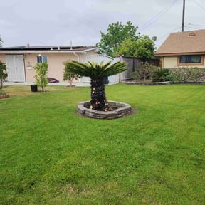 Bush Trimming by Linares Lawn Care reviewed on February 28, 2025
