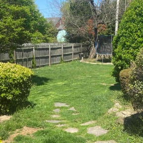 Bush Trimming by Cascadia Landscaping reviewed on August 1, 2022