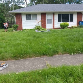 Bush Trimming by Salaam Lawn Care reviewed on November 19, 2024