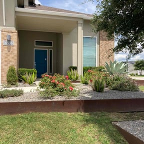 Bush Trimming by Lee's property clean up and hauling solutions llc reviewed on November 8, 2022