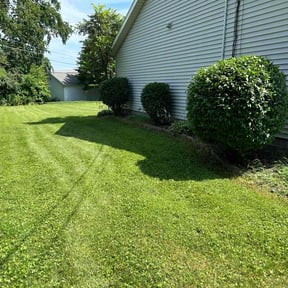 Bush Trimming by Chucks Cutz LLC reviewed on June 9, 2025