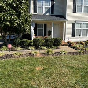Bush Trimming by Marshall's Design and Maintenance reviewed on August 16, 2024
