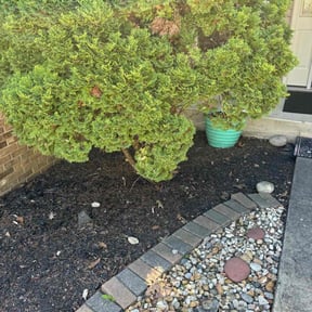 Leaf Removal by Perry’s Landscaping LLC reviewed on July 16, 2022