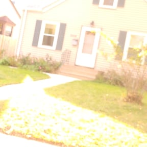 Leaf Removal by T & J lawncare reviewed on July 21, 2021
