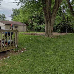 Cleanups by Lie=less Lawncare&amp; Home Improovement reviewed on July 4, 2025