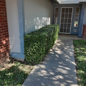 Bush Trimming by Your Way Lawn & Landscaping reviewed on April 21, 2022