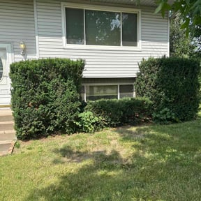 Bush Trimming by Enoch's Lawn Care reviewed on June 19, 2025