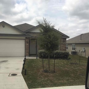 Bush Trimming by LSLTAustin/SanAntonioEmerald reviewed on February 27, 2025