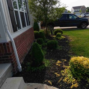 Bush Trimming by M&J LAWNSERVICE reviewed on June 30, 2022