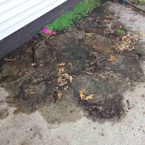 Leaf Removal by Andrade lawncare reviewed on March 27, 2025