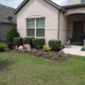 Bush Trimming by Ultimate Landscape Contractor reviewed on January 4, 2022