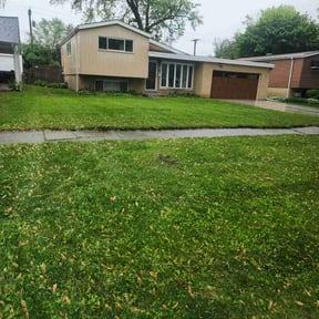 Bush Trimming by Serrano's House Care reviewed on June 7, 2022