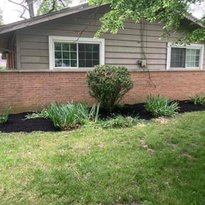 Landscaping by chameleon lawn care reviewed on September 20, 2021