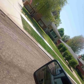 Cleanups by LSLTDallas/FortWorthTruGreen reviewed on July 3, 2025