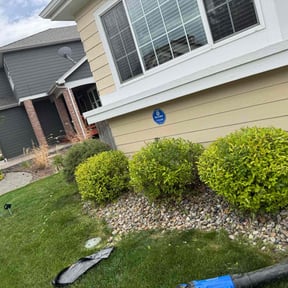 Bush Trimming by MTB lawn care reviewed on June 24, 2022