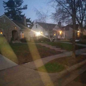 Leaf Removal by Universal services rcr LLC reviewed on April 3, 2022