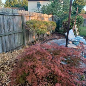 Bush Trimming by LSLTDallas/FortWorthTruGreen reviewed on March 11, 2024