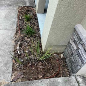 Flower Bed Weeding by Lawn Junkies LLC reviewed on March 5, 2025