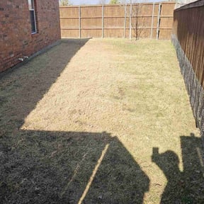 Cleanups by Alexito Landscaping reviewed on February 23, 2025