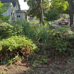 Bush Trimming by Walkers Landscape and Lawncare services reviewed on May 25, 2022