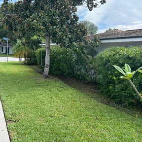 Bush Trimming by Discount Mowing reviewed on July 26, 2022