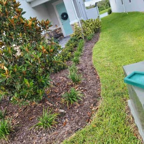 Flower Bed Weeding by LSLTDallas/FortWorthTruGreen reviewed on February 3, 2025