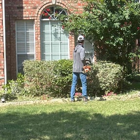 Bush Trimming by Slaughter&#039;s Landscaping reviewed on March 21, 2025