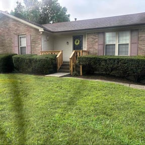 Bush Trimming by Martins Lawn and Landscape LLC reviewed on April 11, 2025