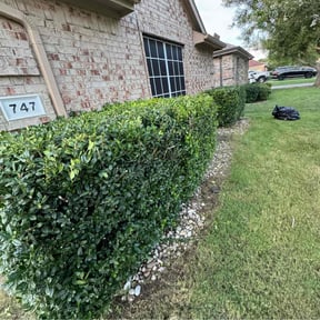 Cleanups by Merriweather's Lawn Care reviewed on July 30, 2022