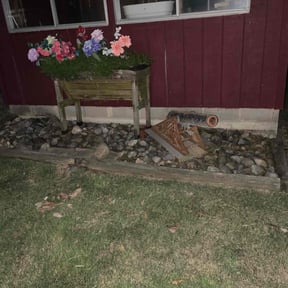 Flower Bed Weeding by Family lawn and snow reviewed on August 7, 2022
