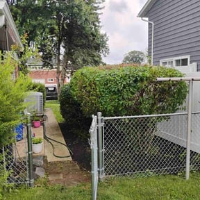 Bush Trimming by Pinedas lawn mowing pro reviewed on July 25, 2025