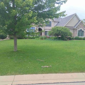 Bush Trimming by Thom's mowing and lawn care reviewed on June 16, 2022