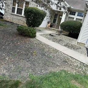 Weeding by DTE Maintenance Llc reviewed on August 9, 2024