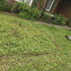 Flower Bed Weeding by Ace of trades lawn service reviewed on May 30, 2022