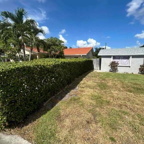 Bush Trimming by MarroquÃn Landscaping LLC reviewed on July 9, 2025