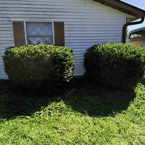 Bush Trimming by Perry's Landscaping LLC reviewed on May 19, 2022