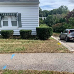 Bush Trimming by W. D. Giampa Lawn & Landscapes, INC. reviewed on July 12, 2022