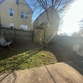Leaf Removal by Clark on time lawn care reviewed on May 15, 2022