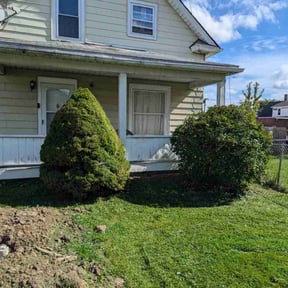 Bush Trimming by Jstotalservices reviewed on July 22, 2021
